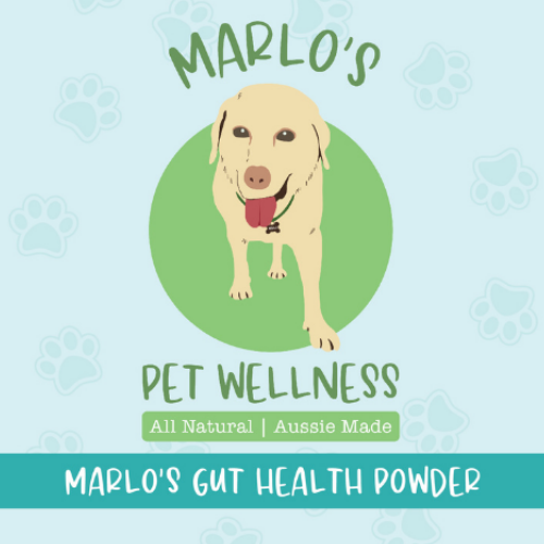 Benefits of Marlos Gut Health Powder